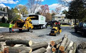 How Our Tree Care Process Works  in  Ritzville, WA